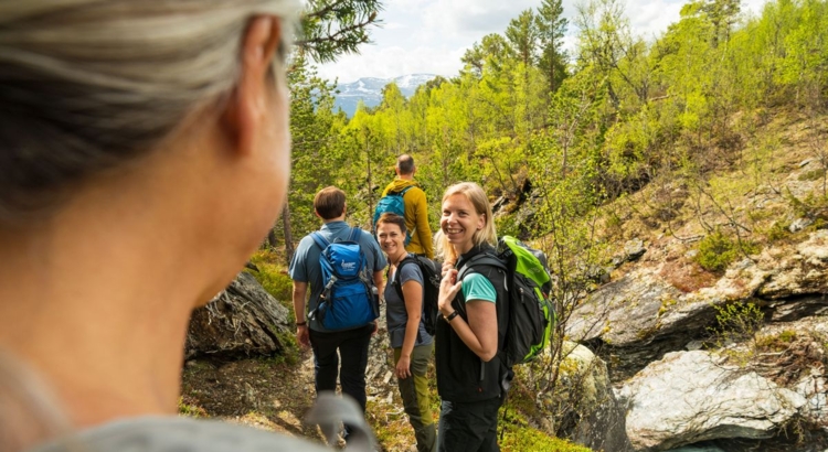 Wikinger Reisen Eifel Foto Wikinger Reisen
